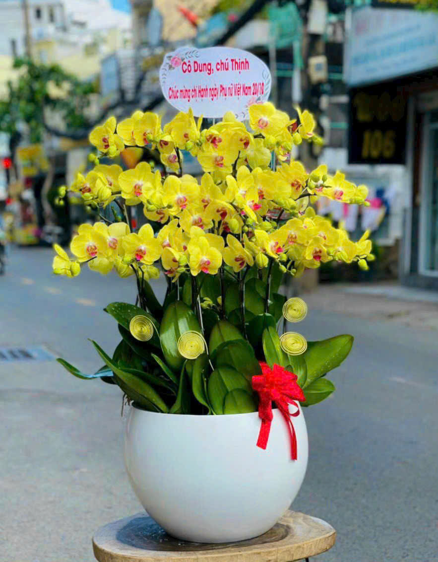 Giỏ trái cây 20/10