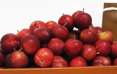 5 loại trái cây ăn nhiều sẽ gây hại cho sức khỏe - Bạn đã biết chưa