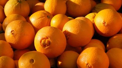 Cam Navel – Giống cam nổi bật trong nhóm cam nhập khẩu