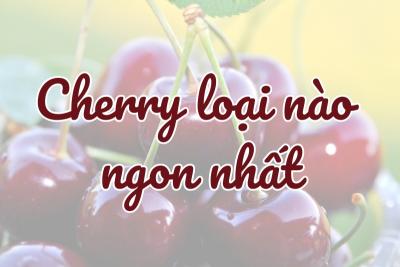 Cherry loại nào ngon nhất? Các loại cherry nhập khẩu