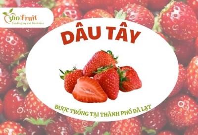 Dâu tây Đà Lạt - Loại trái cây ngon tuyệt đỉnh của thành phố sương mù