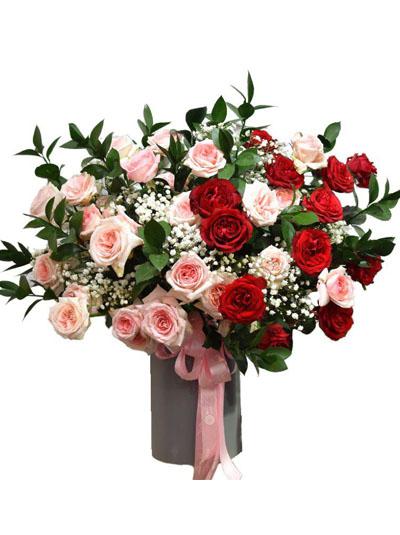 Hoa chúc mừng - Hộp hoa hồng Ohara tuyệt đẹp