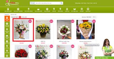 Hướng dẫn đặt hàng và thanh toán qua Web