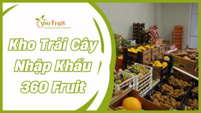 Kho trái cây nhập khẩu 360 Fruit - Trái cây cao cấp