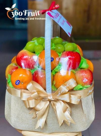 Khởi đầu rạng rỡ