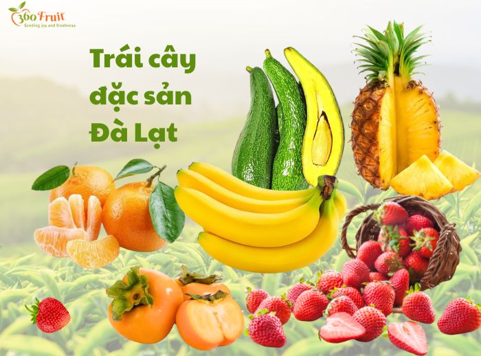 Đa dạng các loại trái cây đặc sản của Đà lạt 