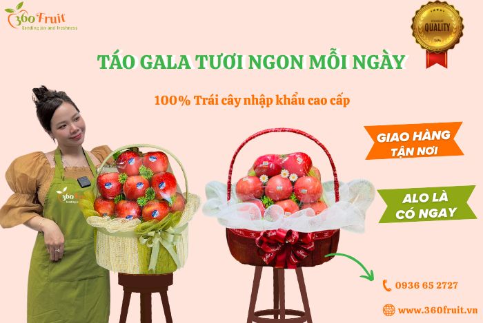 360 Fruit - Cửa hàng sỉ lẻ táo Gala nhập khẩu cao cấp