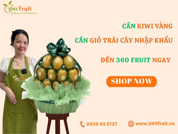 360 fruit - Địa chỉ mua Kiwi vàng được săn đón nhất hiện nay 