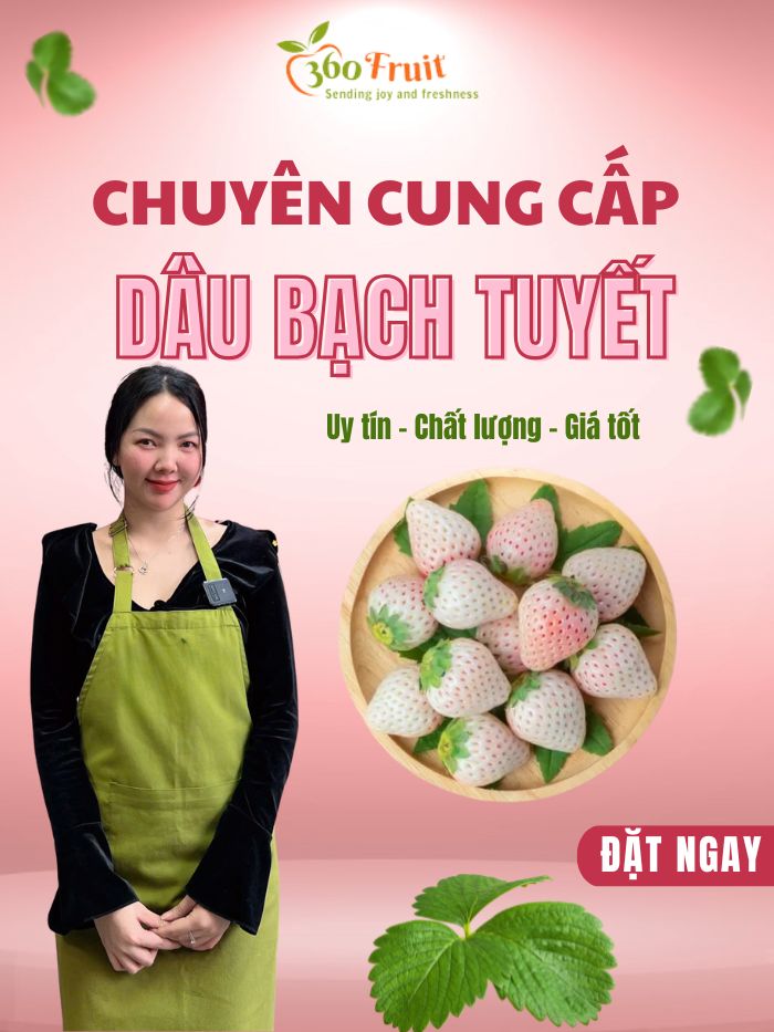 Địa chỉ bán dâu bạch tuyết giá tốt 