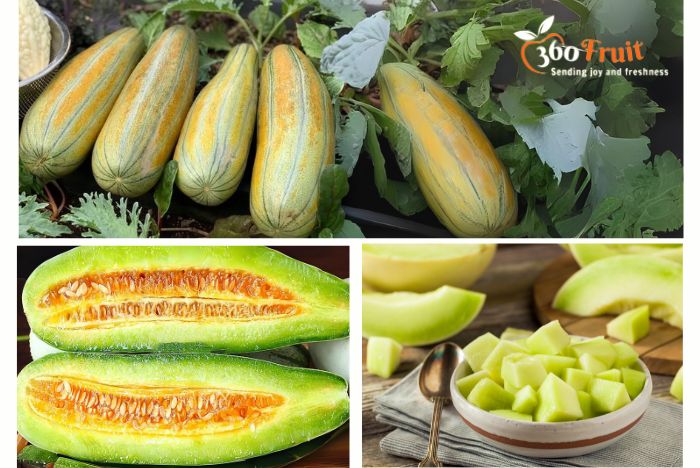 Cách chọn dưa gang tươi ngon vừa chín tới 