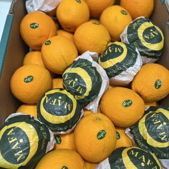 Cam Ai Cập bao nhiêu 1kg?