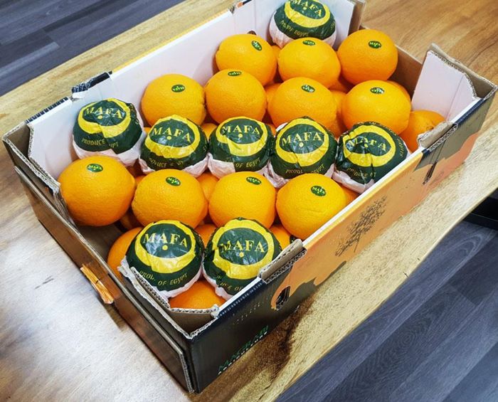 Mua cam Ai Cập nhập khẩu