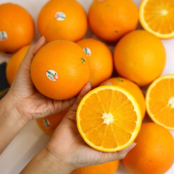 Các loại cam vàng phổ biến hiện nay