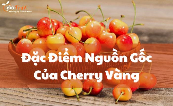 Đặc điểm và nguồn gốc của trái Cherry vàng