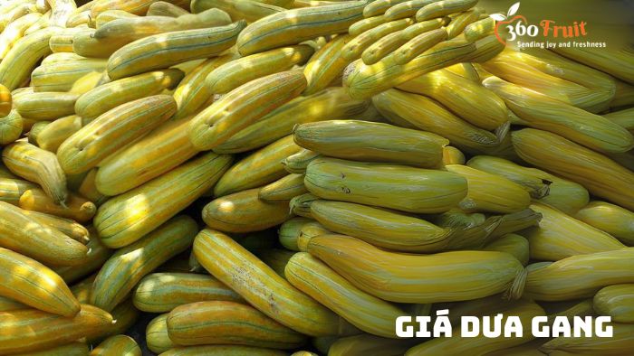 Giá dưa gang trên thị trường hiện nay có giá trung bình khoảng 100.000đ/1kg 