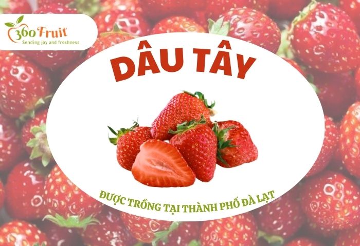 Giá dâu tây Đà Lạt phụ thuộc vào nhiều yếu tố 
