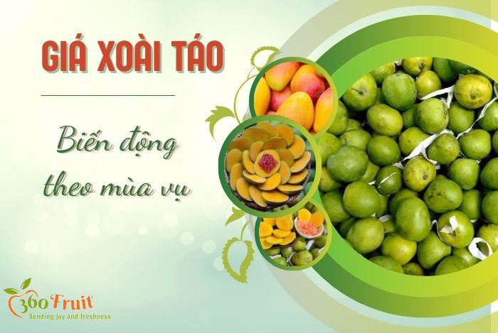 Giá 1 kg xoài táo biến động theo mùa vụ