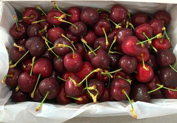 Hình ảnh hộp quà cherry cỡ lớn 1-2kg cho nhiều người ăn