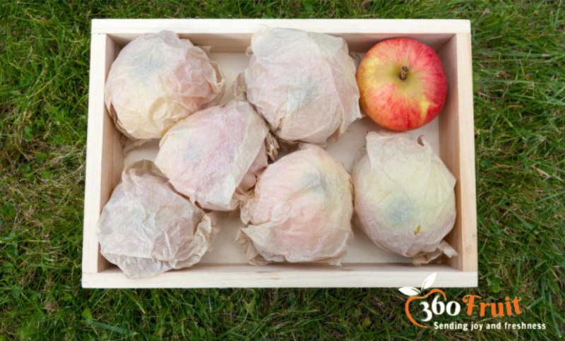 Bảo quản táo Ambrosia tại nhà đơn giản 