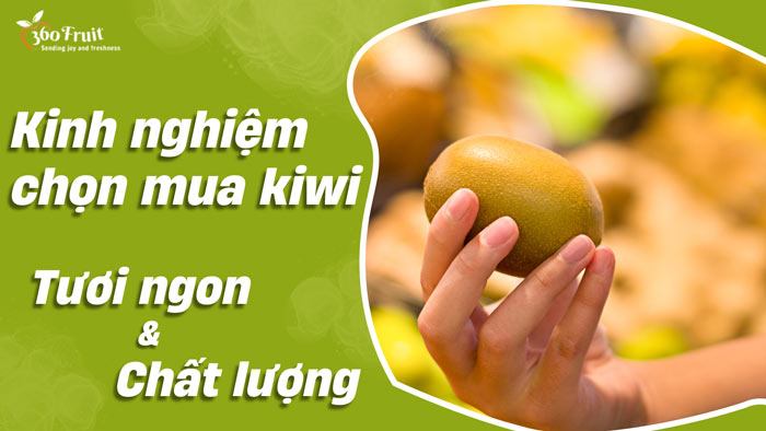 kinh nghiệm mua kiwi tươi ngon chất lượng