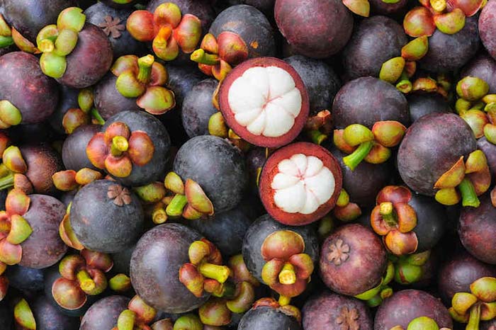 Măng cụt là loại trái cây nhiệt đới ngon và bổ dưỡng, được nhiều người yêu thích