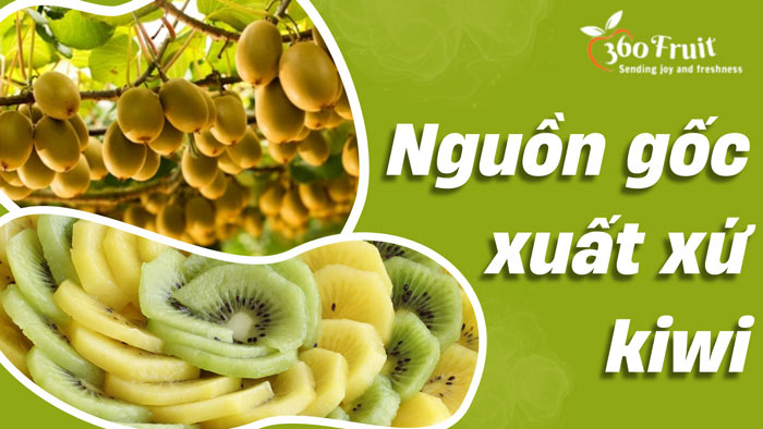 nguồn gốc xuất xứ của kiwi