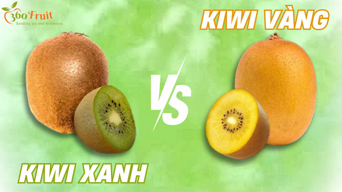 phân biệt hình dáng kiwi xanh và kiwi vàng