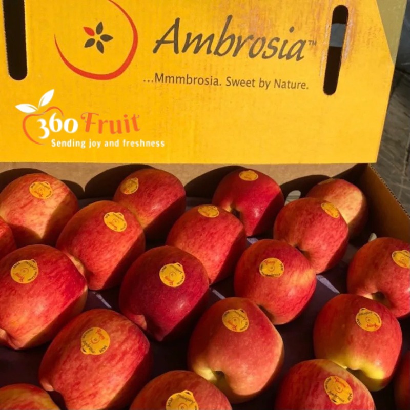 Thùng táo Ambrosia đóng gói chuẩn tại 360Fruit 