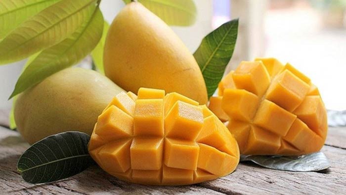 Từ Ấn Độ và Đông Nam Á, xoài đã chinh phục vị giác của người yêu trái cây nhiệt đới trên khắp thế giới.