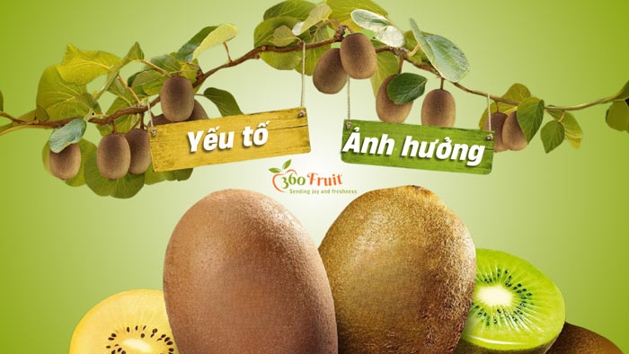 yếu tố ảnh hưởng đến giá kiwi