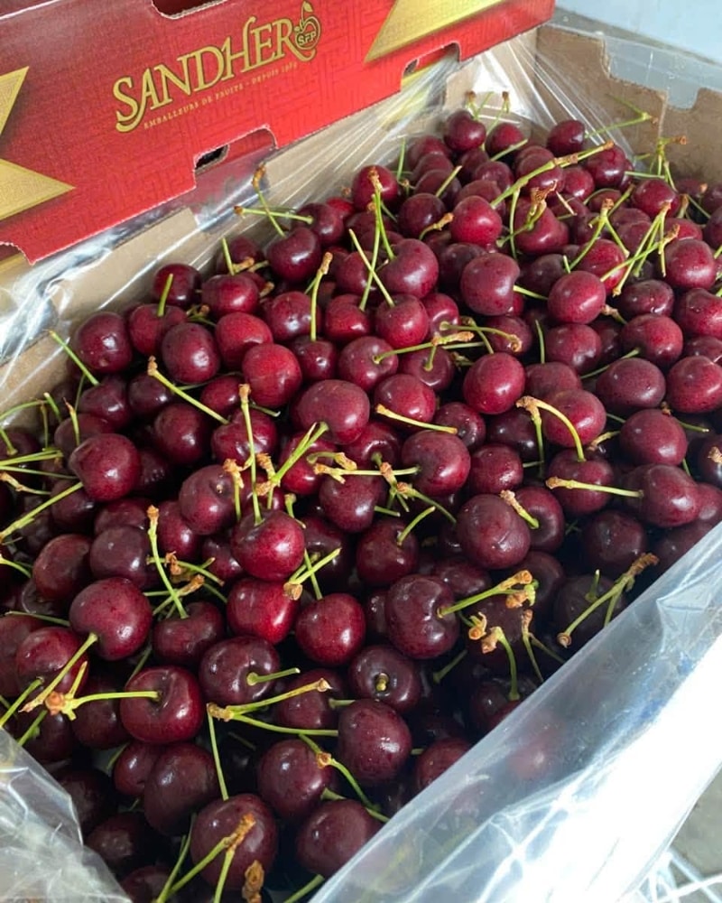 cherry canada ngon nhất