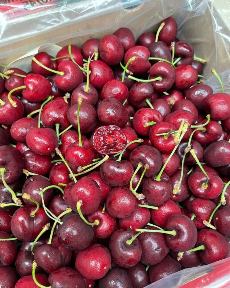 cherry chile ngon nhất