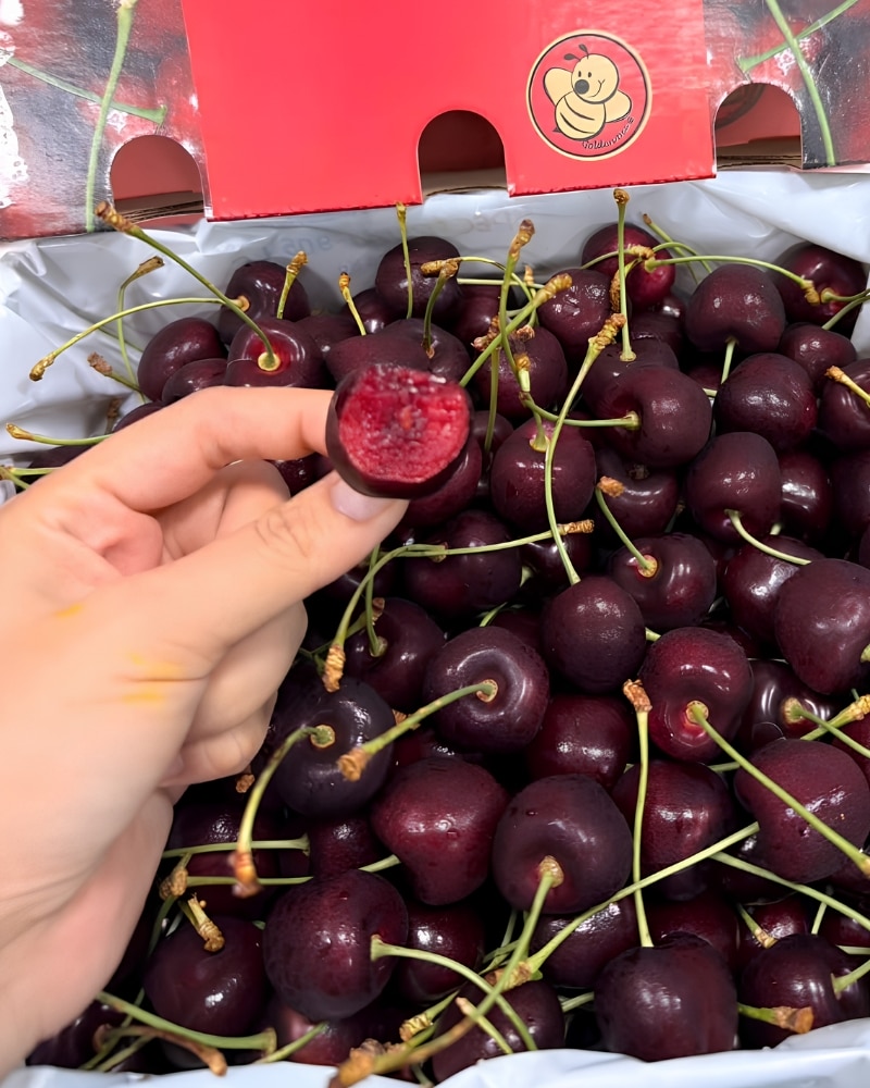 cherry mỹ ngon nhất