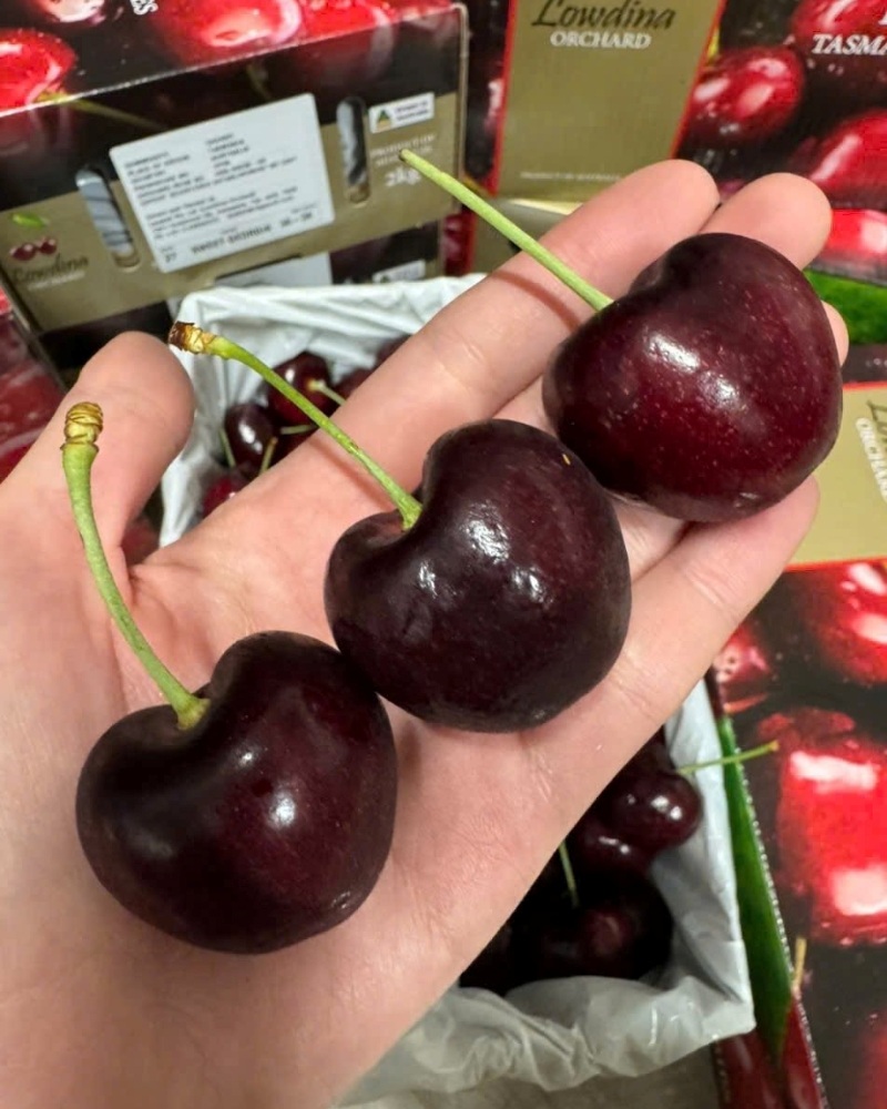 Cherry Tasmania (Úc) ngon nhất