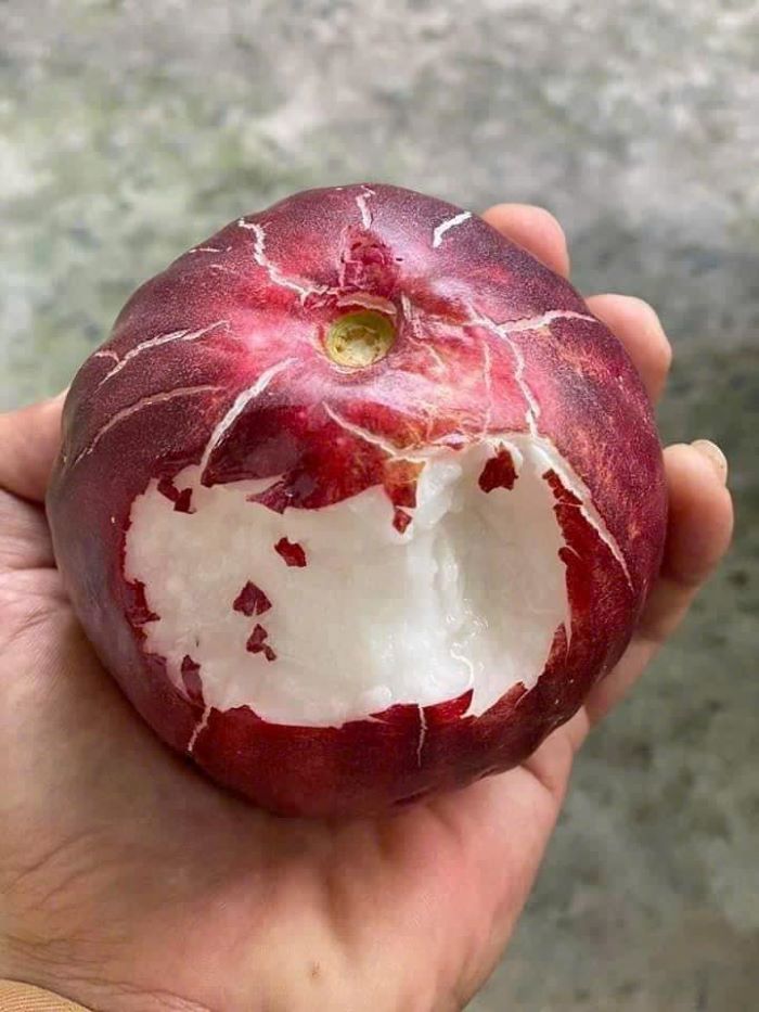 Thịt trái mận điều dày đặc, ít xơ