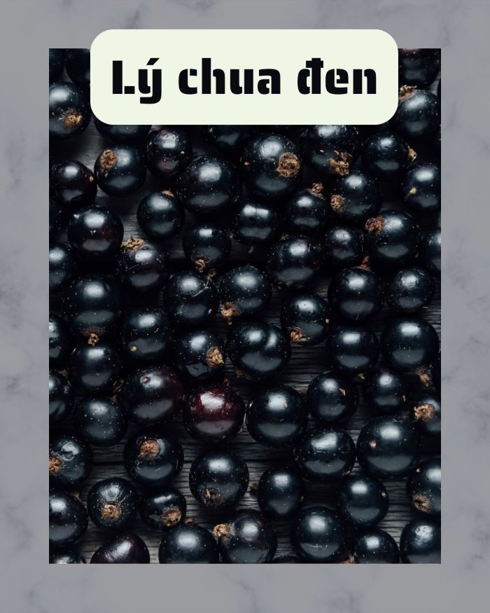 lý chua đen là trái cây chứa nhiều vitamin E
