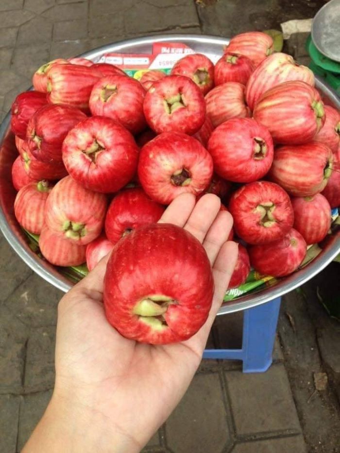 5 mẹo chọn mua mận điều giòn ngọt