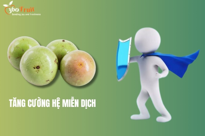  vú sữa giúp tăng cường hệ miễn dịch
