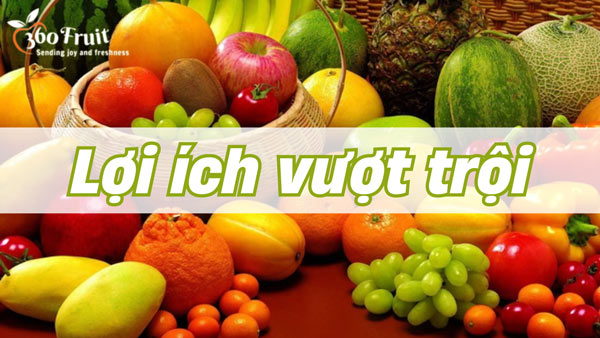 lợi ích vượt trội khi mua trái cây tại kho sỉ trái cây nhập khẩu 360fruit