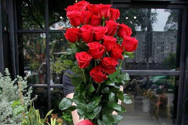 Bông hồng ecuador biểu tượng cho tình yêu bất diệt