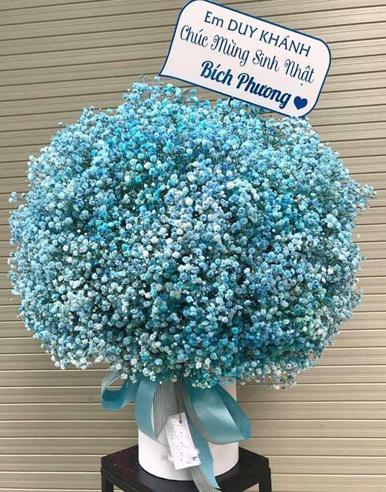 Hộp hoa baby xanh - Blue love