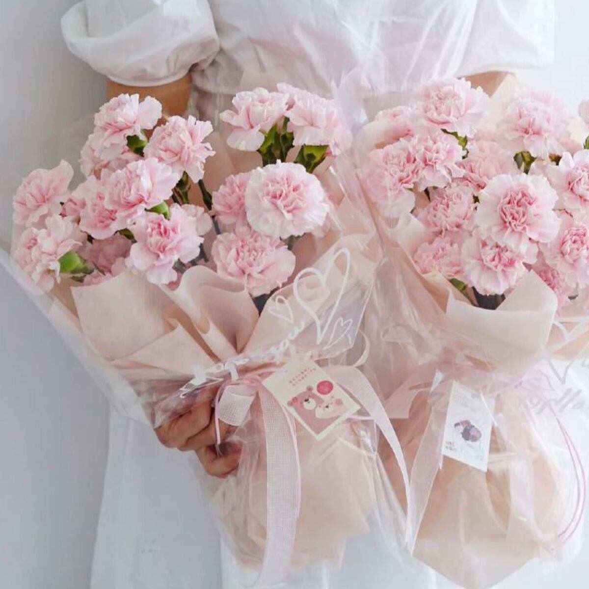 Bó hoa cẩm chướng hồng pastel