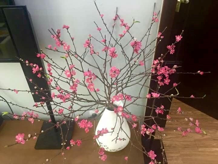 Bình hoa đào tông hồng tươi thắm chưng ngày tết