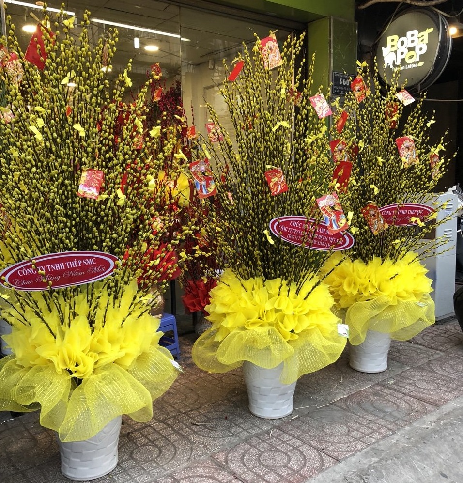 Bình hoa nụ tầm xuân chưng tết sang trọng, phú quý