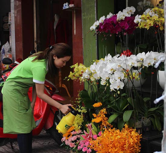 Đặt hoa tết uy tín và chất lượng