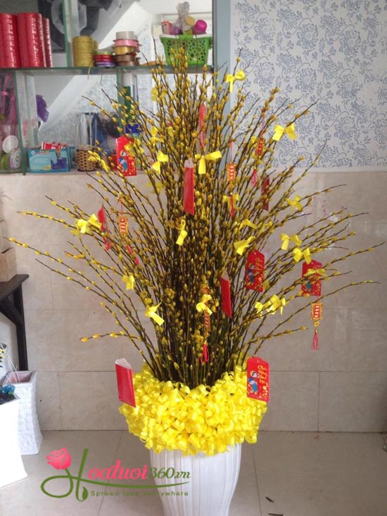 nụ tầm xuân tông vàng tươi tắn