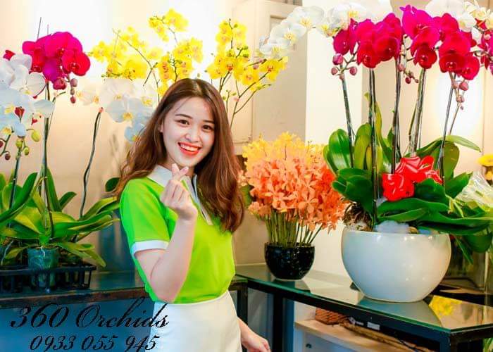 shop hoa Thị Trấn Phước Vĩnh – Huyện Phú Giáo